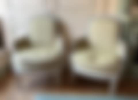 Pair of bergeres (preview)