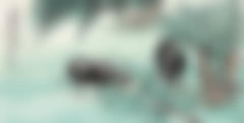 TWO BUFFALO UNDER THE WILLOW (preview)