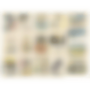In the Floating World (Complete set of 16) (YNF2558 - 2573); Studio No. E-1999-001 - 016 (preview)