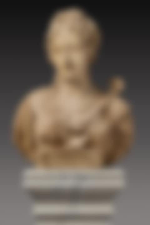 Bust of Penelope (preview)