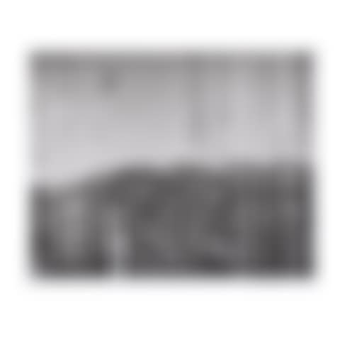 Section 22, Gravure Group (Engberg 236) (preview)