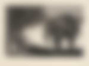 Disparate de Bestia (preview)