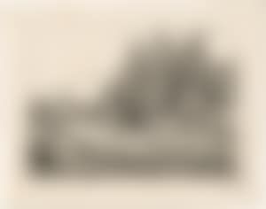 The farmer"s hut at the fir forest (preview)