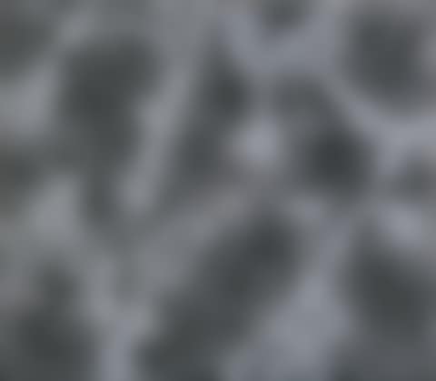 Skin (preview)