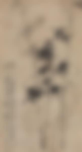 Ink Bamboo (preview)