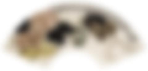 LUFFA (preview)