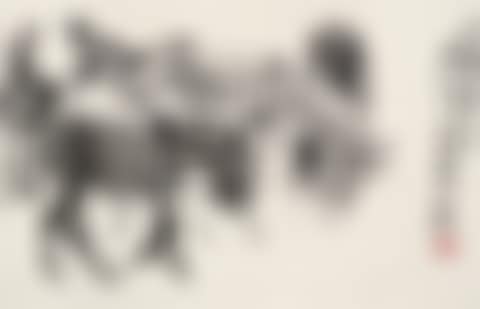 FIVE DONKEYS (preview)