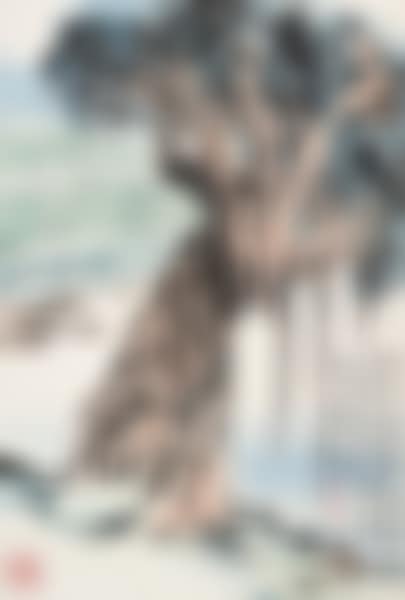 TREE SHADOW (preview)