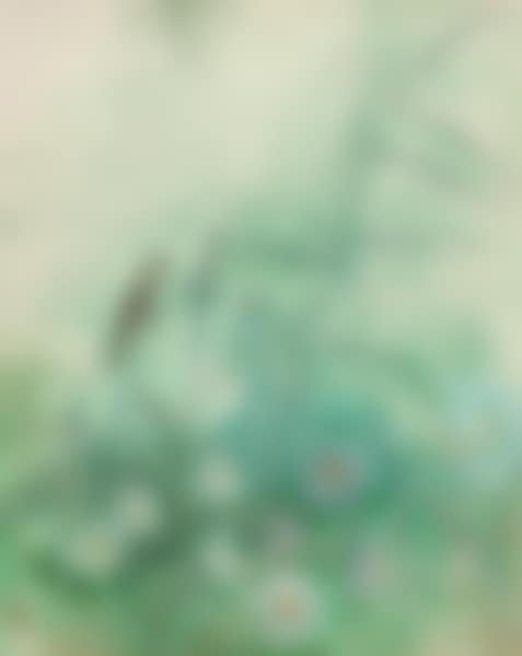 Flowers and Bird (preview)