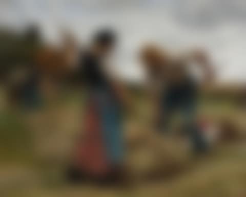 Haymakers (Faneurs et Faneuses) (preview)