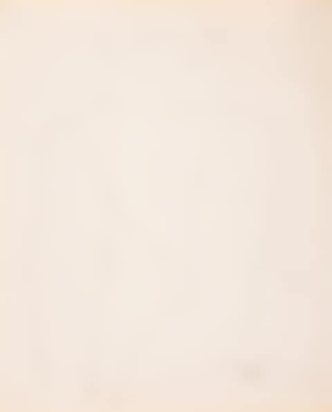 Male Nude (preview)