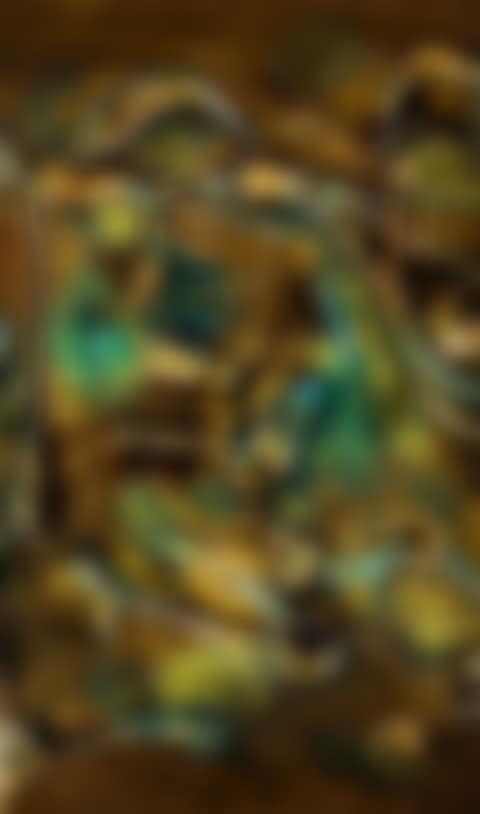 Oiseaux Naissants (preview)