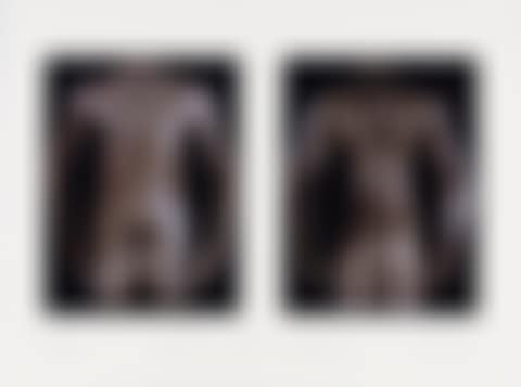 Untitled (For Peter Hujar) (preview)