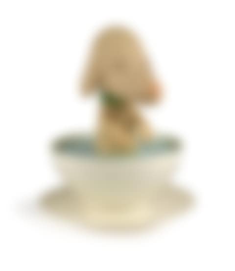 PupCup (preview)