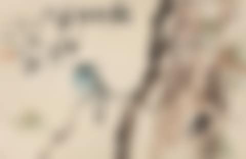 BIRD ON BRANCH (preview)