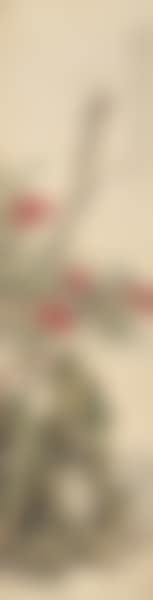 BIRD ON FLOWER (preview)