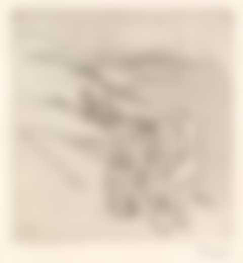 Am Meer II (preview)