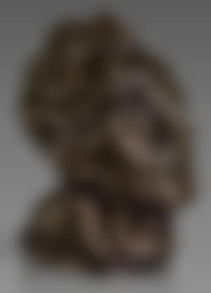 Self-portrait (preview)