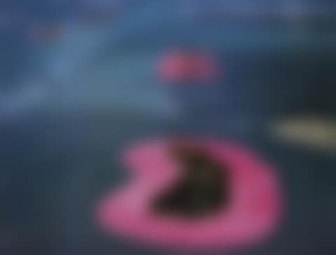 Surrounded Islands, Biscayne Bay (preview)