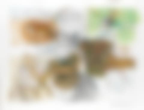 Bronx Zoo (preview)