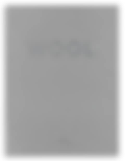 Christopher Wool (preview)
