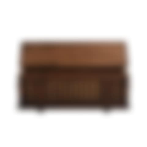 Chest (preview)