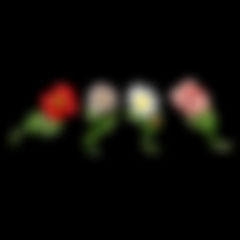 DECORATIVE FLOWERS (preview)
