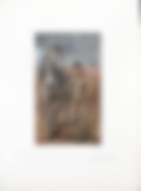Boy leading a horse (preview)