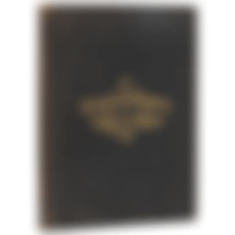 Prominent Residents of Mexico City (preview)