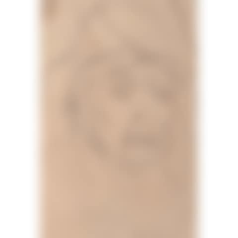 Untitled (preview)