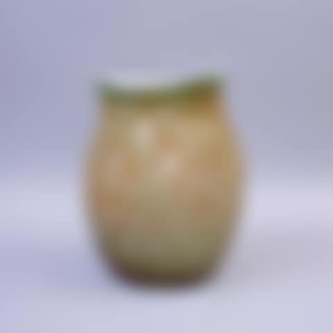 Vase (preview)