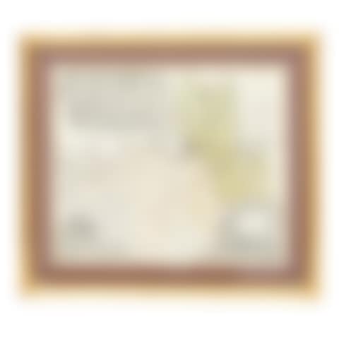Ingermanlandiae seu Ingriae novissima Tabula (preview)
