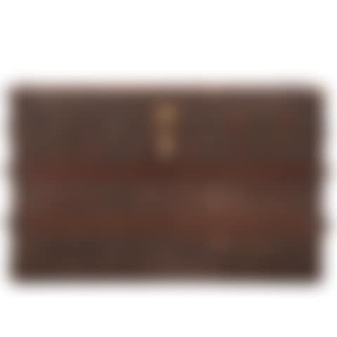 Travel trunk (preview)