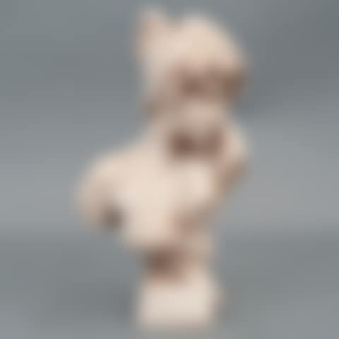 FEMALE BUST (preview)