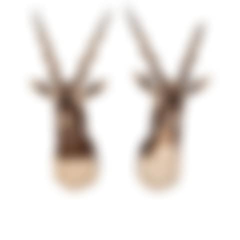 Taxidermy (preview)
