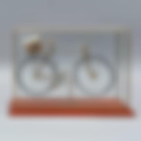 SCALE BICYCLE (preview)