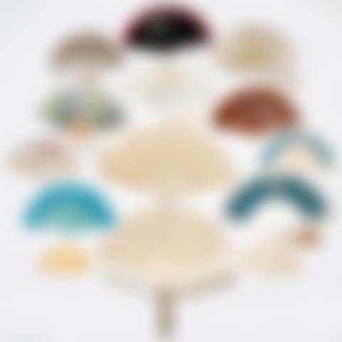 LOT OF FANS (preview)