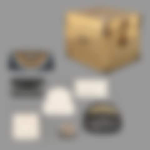 handbags, trunk and purse (preview)