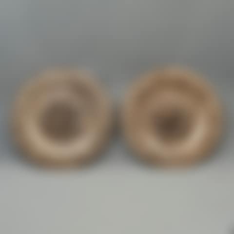 PAIR OF PLATES (preview)
