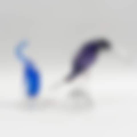 Toucan and goose (preview)