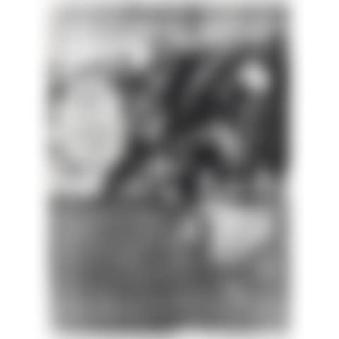 Abstract (preview)