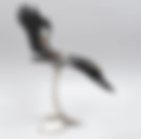 Wings of Liberty (preview)