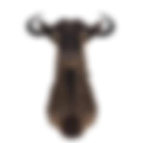 Wildebeest. (preview)