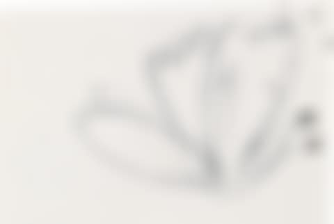 Butterfly (preview)
