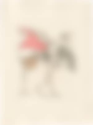 The pair of beaks (preview)