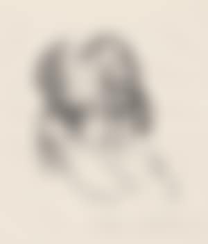 Listeners (preview)