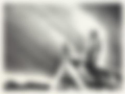 Roof Tree (preview)