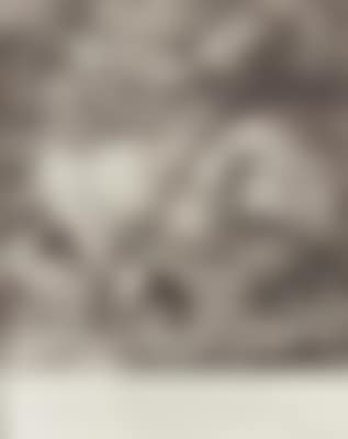"Anno 1710 und Ao. 1721 Haben Ihro Hochfürstl: Durchl: Eberhard Ludwig Herzog zu Würtenberg dise beyde Hirsche... in der Brunfft in der Enninger March... geschossen" (preview)