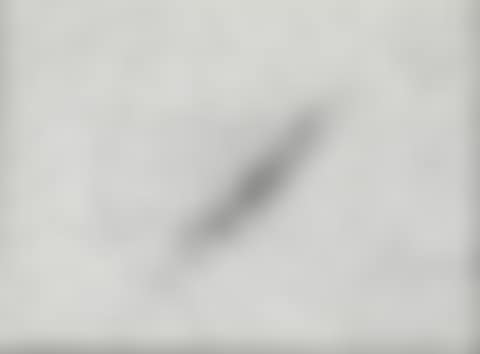 “Insect Slant” (Ants), fra “Reality and Paradoxes Portfolio” (preview)