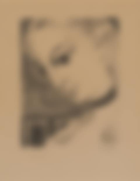 Anne de profil (preview)